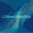Lowmountain