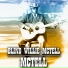 Blind Willie McTell feat. Harris & Harris