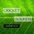 Cricket Sounds