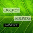 Cricket Sounds