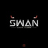 Swan