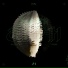 Petter Eldh feat. Eric Harland
