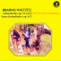The Vienna Ensemble