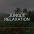 Relaxing Chill Out Music
