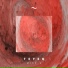 DeeP HousE Live