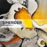 Sinerider
