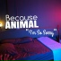 Because Animal