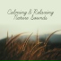 Nature Sound Series