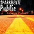 SPARKBENJI