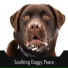 Calming Dog Sleep
