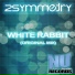 2Symmetry