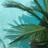 Zen, Calming Music Academy, Ambient Rain