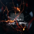 Shift feat. Whats Up -