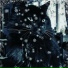 Music For Cats