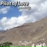 Pilot Of Love