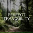 Relaxing Chill Out Music